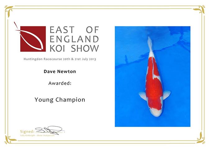 KOI SHOWS 2013